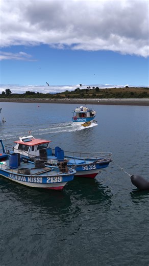 📍 San Agustín – Calbuco Mar, tranquilidad y paisajes del sur de Chile vistos desde el aire 🚁 Un rincón poco conocido que vale la pena descubrir ✨ #calbuco #sanagustin #turismochile #dronchile #loslagos