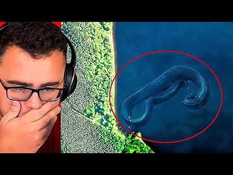 Reacting to 7 Mysterious Deep Sea Monsters Caught!