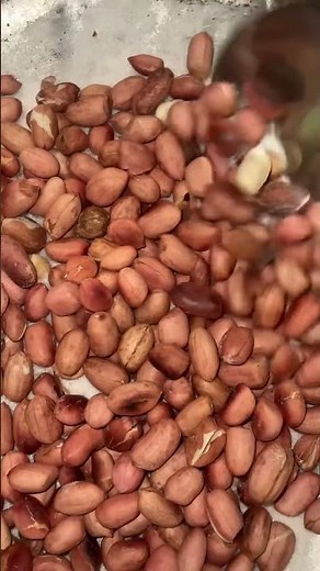 Groundnut Processing for Beginners | Start a Snack Business Today