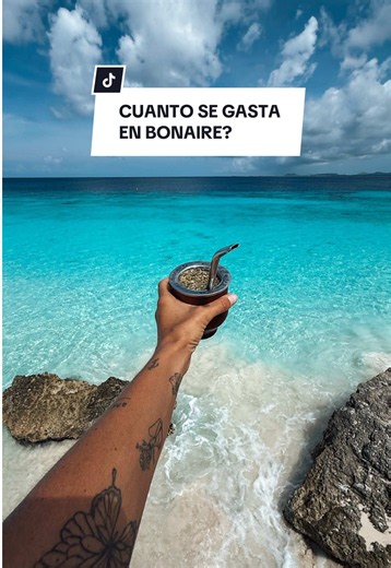 CUANTO SE GASTA EN BONAIRE? 🏝️ Te dejo acá un estimado del valor de algunas cosas básicas para que calcules el presupuesto para visitar esta isla caribeña 🇧🇶 Podes buscar opciones de hospedaje en Booking, alquiler de autos/motos en páginas web o directamente en el aeropuerto! Comer afuera o supermercado es más caro que otros destinos 😅 Para ingresar a Bonaire si o si tenes que pagar el impuesto turístico de 75usd, online o mismo en el aeropuerto! Guardate la info, dejame tus dudas y seguime 