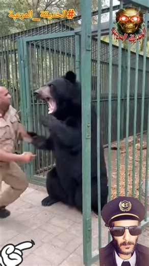 اخطر ⚠️ المشاهد داخل الحديقة النهاية مرعبة صادمة من داخل الحديقة المرعبة احساس رعب حقيقي دب بلا رحمة