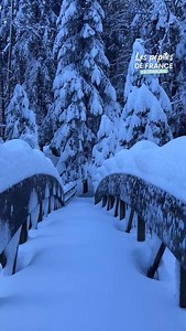 La plus belle cascade de France par @alexis.marcellin 🇫🇷 Le Cirque de Saint-Même révèle toute sa magie en hiver ❄️ Et toi, quelle est ta cascade préférée ? Veillez à respecter ces paysages naturels et à ne laisser aucune trace de votre passage pour les préserver 🫶 👉🏼LIEN EN BIO : Découvrez toutes nos pépites sur notre application disponible sur lOS & Android #pepite #pepitedefrance #nature #cascade #cirquedesaintmeme #hiver #montagne #savoie #isere #randonnée #paysage #aventure | Les Pépite