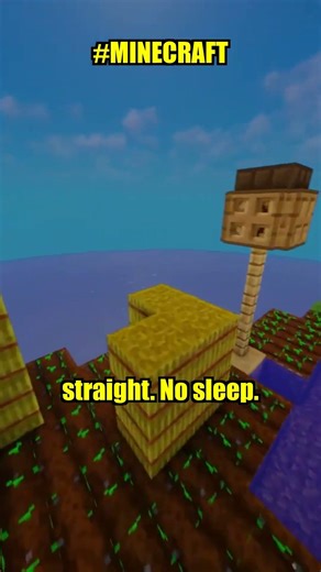 Minecraft Records That Should Be IMPOSSIBLE 😱 #Shorts