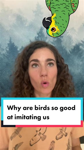 Birds vs. Apes: The Mimicry Battle Unveiled