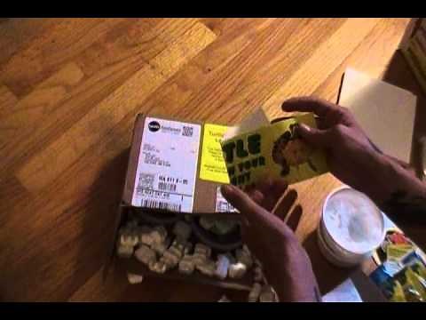 Baby Turtle Unboxing