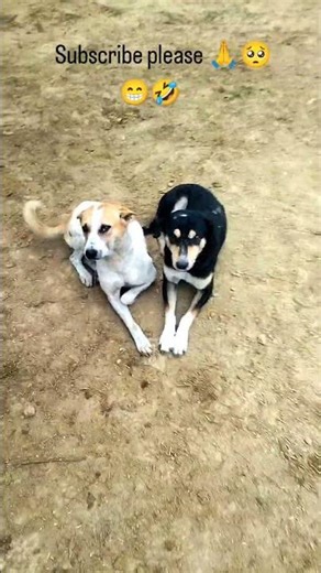 tara aur sitara 😂😁 subscribe karo guys jaldi se 100 subscribers complete please 🙏#funny