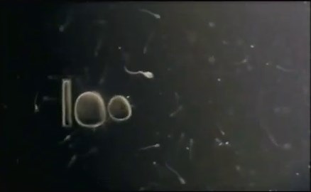 five (Channel 5) "LOVE" ident 2006