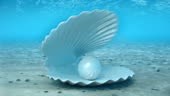 Pearl inside a seashell. Beautiful pearl in the shell on the seabed....
