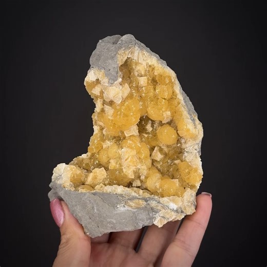 Stellerite with Chabazite - Fairfax Quarry, Centreville, Culpeper Basin, Fairfax Co., Virginia, USA More info: https://www.irocks.com/minerals/specimen/53220 A beautiful cabinet display specimen of the hard to find but well-known zeolite species, stellerite, also with chabazite from the Fairfax Quarry in Virginia. This elongate piece is a portion of a vug in altered basalt filled with numerous yellowish stellerite spheres measuring up to 1.5 cm with great translucency and luster accented by whit