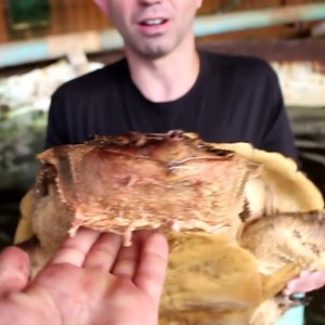 522K views · 207 shares | Funny Looking Amazon Turtle with a Smile at Colorado Gator Farm Reptile Park | Wild Charles | Facebook