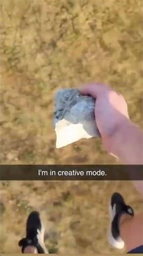 The Minecraft 😱#shorts #ytshorts #viral @cartikcraft