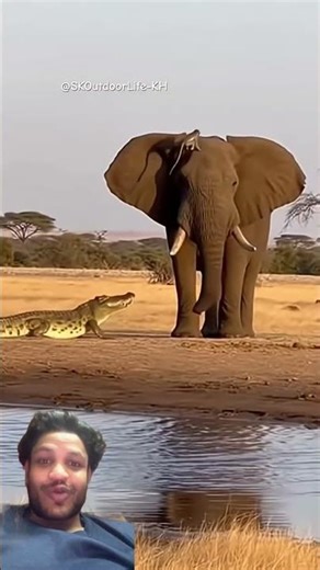 Top Learning Tools for Tech Enthusiasts #shorts #shortsfeed #viralshorts 🍓