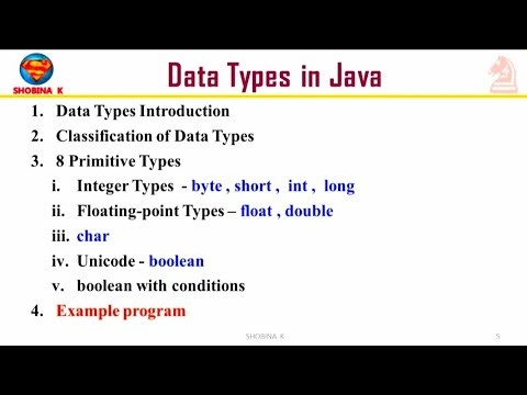 CS25C09 Data Types in Java Programming #cs25c09