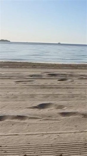 Beach In Playa d’en Bossa, Ibiza