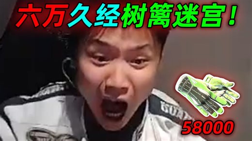 DANKING帮老板炼金炼出价值近六万的树篱迷宫，后续老板还声称要送给danking，蛋连忙拒绝老板（全程录像带字幕）