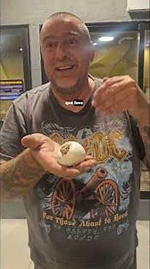 Están naciendo nietitos de Moncho | Herpetocultura | Python regius