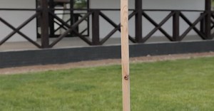 Video by Thirdman   on Pexels