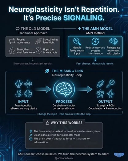 Most people are stuck in the same rehab loop: More reps. More stretching. More strengthening. …and the problem still comes back. Hot take: reps are overrated. Neuroplasticity doesn’t care how hard you work — it cares how clean the signal is. 🧠⚡️ If the brain’s input is noisy (proprioception, reflexes, sensory mismatch), it protects the pattern: tightness, compensation, instability… same story, new week. That’s why AMN focuses on the neuroplasticity loop: INPUT → PROCESS → OUTPUT Change the inpu