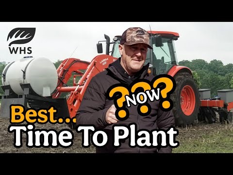 When You SHOULD Be Planting Your Food Plots