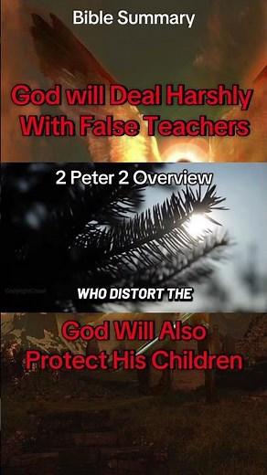 2 Peter 2 Overview #biblestudy #biblesummary #dailydevotion #devotional