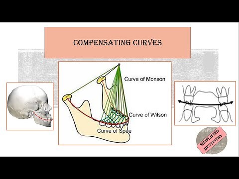 Compensating Curves | Curve of Spee | Curve of Wilson | Curve of Monson