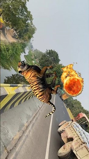 Krish tiger ko bachaya ☺️😎 #shorts #shortvideo #tiger #funnyvideo #krishna