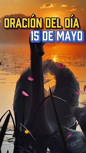 180 reactions · 40 shares | Maria Alejandra Pena Zambrano on Reels | Facebook