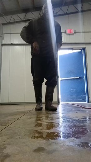 Pop and lock let battle the oak tree live story | Mark Brown