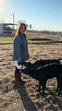 Feeding 3 Bottle Calves with Ree and Paige