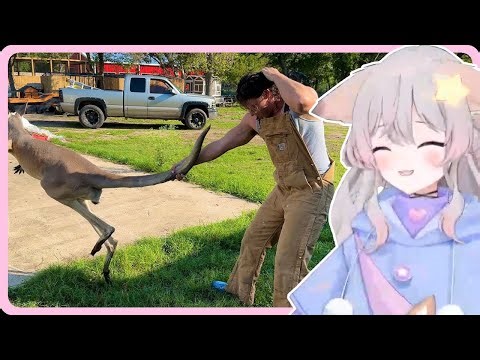 Anny reacts to "How to Catch a Kangaroo (by hand)" by The Urban Rescue Ranch