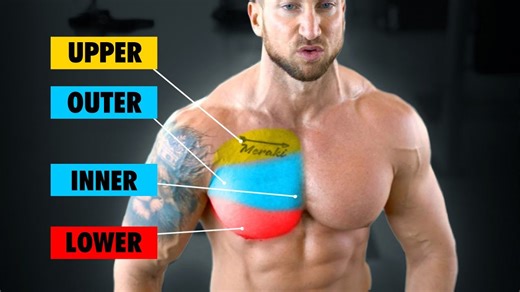 Total chest workout targets inner, outer, upper, and lower chest