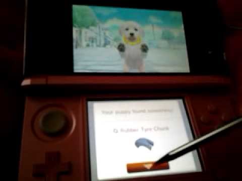 How to train your puppy on Nintendogs+Cats