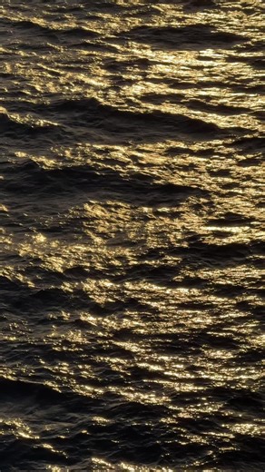 Celebrate August with Folklore Vibes