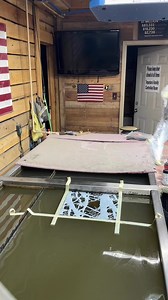 14K views · 49 reactions | It’s a dippin kinda day #hydrodip #camo #mount #taxidermy | Angert's Hydrographics | Facebook