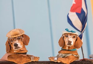 A Look at How Cuba Plans to Restart Tourism