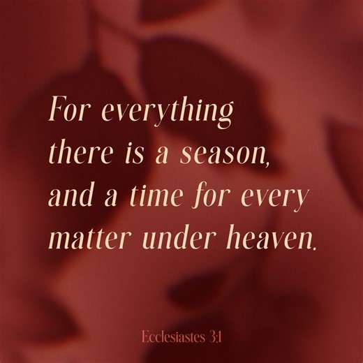 CenterPointe Church - Venice on Reels