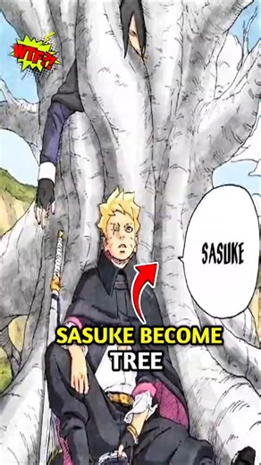 When Code Sealed Sasuke 😳