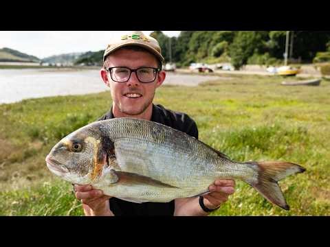 Top Tips for Catching Gilthead Bream with the Gwinear Team | Sea Angling | Shore Fishing