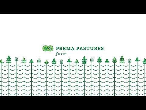 Ep. 388 - The 10 Biggest Lies About Permaculture