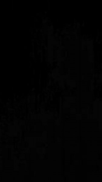 Videos de brainrots (@minimini.2016dmd) con “sonido original - brainrots”