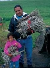 Yuwipi - Alchetron, The Free Social Encyclopedia