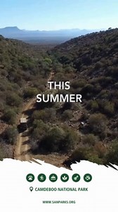 Snap your way through SANParks this summer! On your road trips this December and January, make sure to stop over at one of our incredible national parks along your route and experience the tranquility of our backyard. Make your stop over one to remember with South African National Parks. Snap a pic and tag us! https://bit.ly/3NfGNsq #LiveYourWild #SANParks #WildBackyard #SANParksWildSummer #100DaysOfSummer FNB | South African National Parks