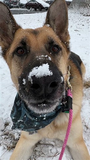 What Our Camera Roll Really Looks Like