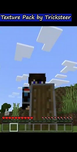 Shield Minecraft Normal VS Texture Pack - Showcase (3D) Lower Round Shield Texture Pack