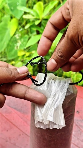 Easy Rope Knot Trick to Secure Plastic Bag | Simple & Satisfying Rope Skills #Shorts