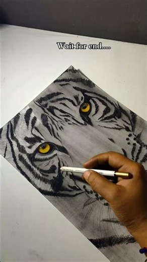 Tiger🐯 realistic sketch✨ || #art #artist #tiger
