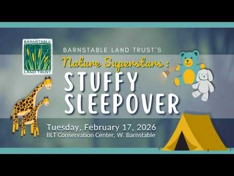 What Do Stuffed Animals Do at Night? BLT’s Stuffy Sleepover Adventure
