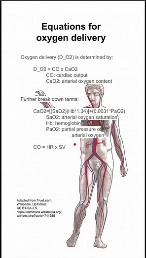 Equations for oxygen delivery