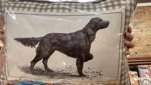 1.9K views · 51 reactions | New washable pillows | Dee's | Facebook