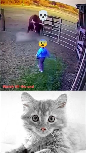💀😨. #reactionvideo